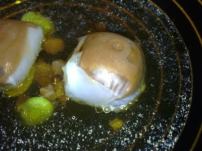 aponiente