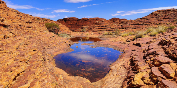 Kings canyon