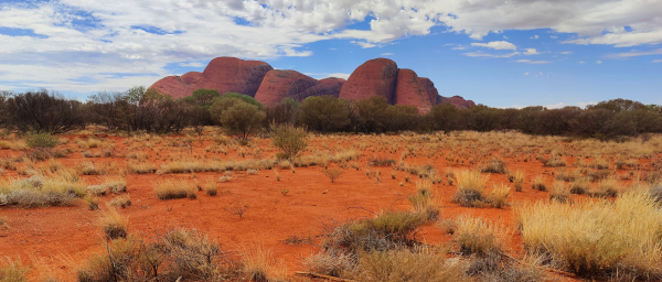 yulara