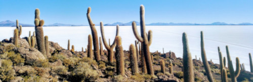 Uyuni
