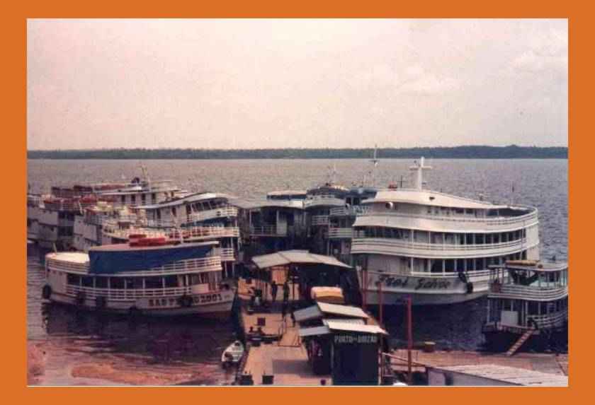 puerto de Manaus