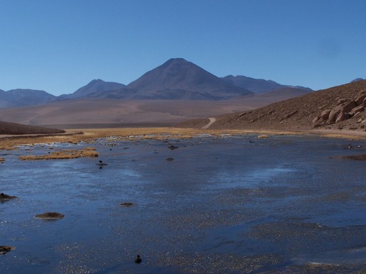 laguna altiplanica