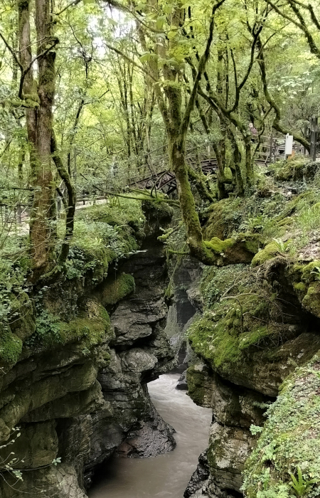 Cañon Martvili