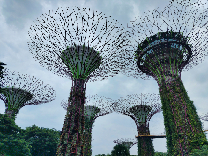 Singapur