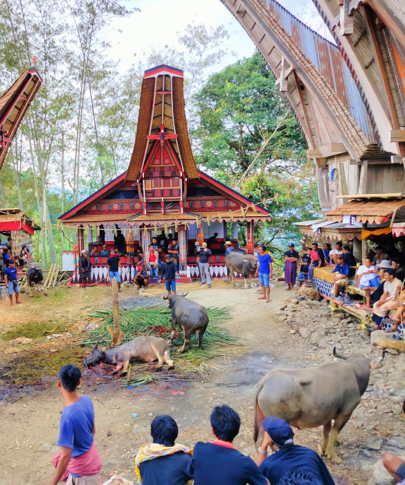 ceremonia toraja