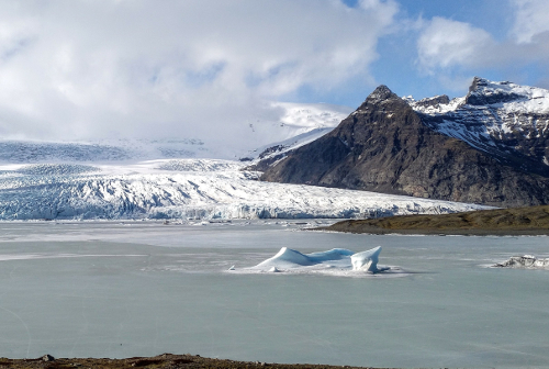 Fjallsarlon