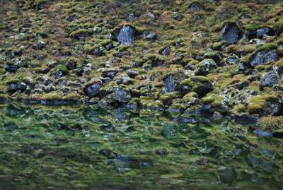 ‎‎‏‏‏Asbirgy