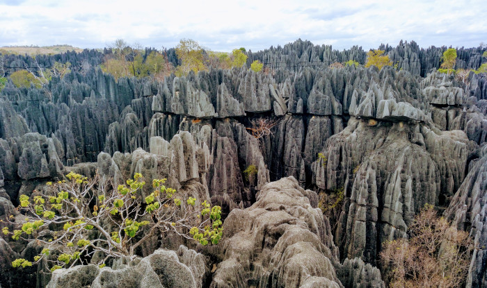tsingy Bemaraha tsingy Bemaraha