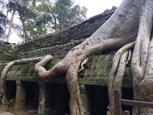 Angkor