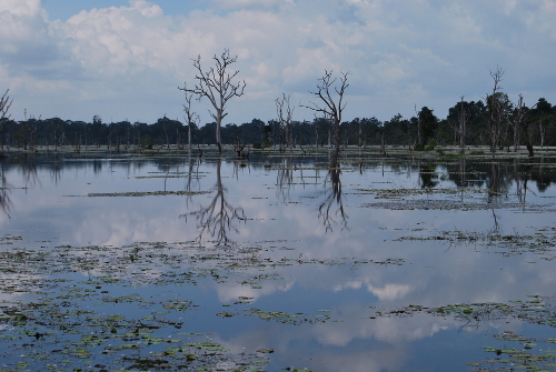Angkor