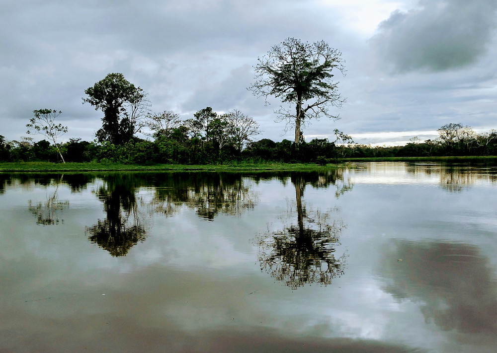 Amazonas