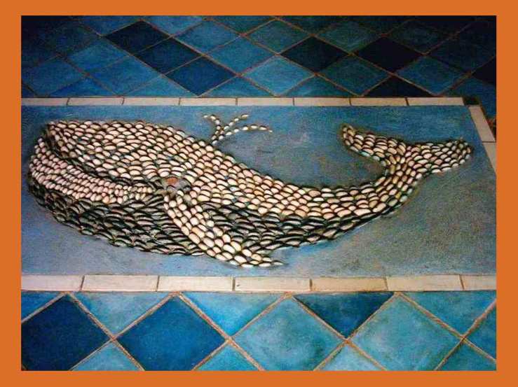  baha ballenas