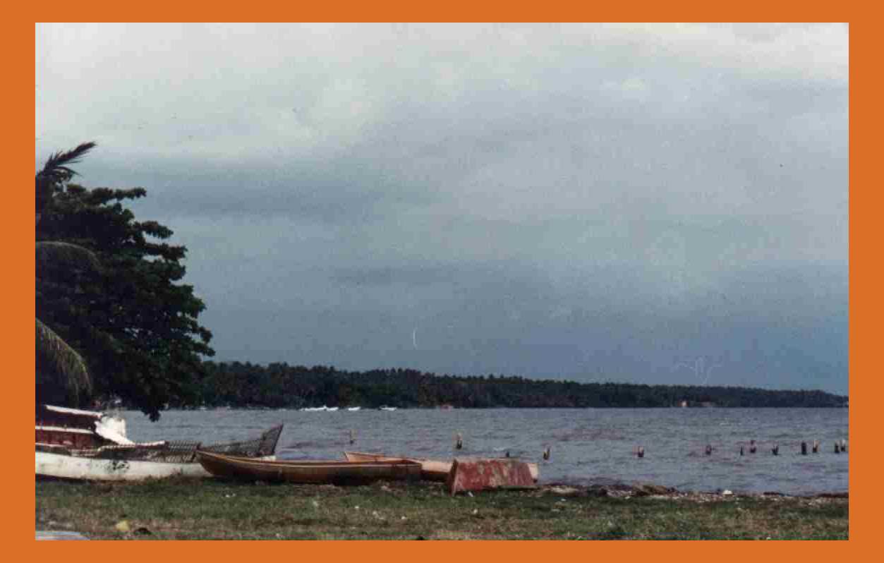 la bahia de saman