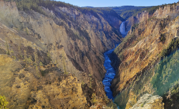 caon yellowstone